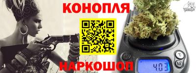 прущие грибы Усть-Илимск