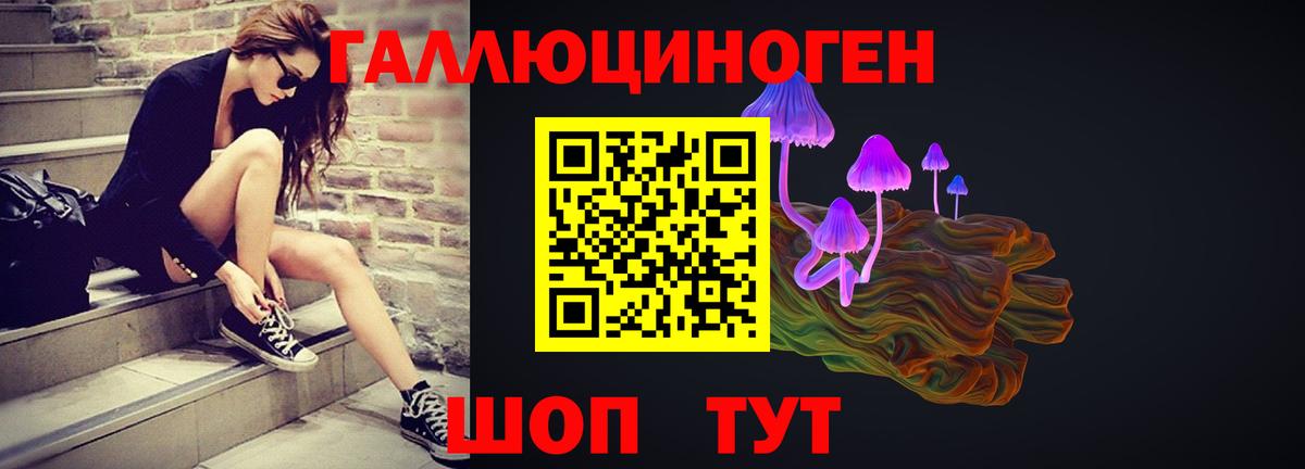 Новосибирск  сколько стоит  Вход с VPN  Галлюциногенные грибы прущие грибы 